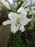 [4578 VH54 Fastrada No02.JPG]